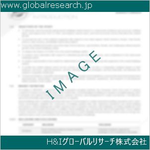 グローバルリサーチ調査資料のイメージ